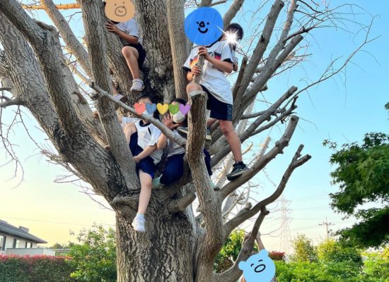 【園庭遊び】昔からあおぞらっ子は木登り大好きですねー！何人登ってるかな