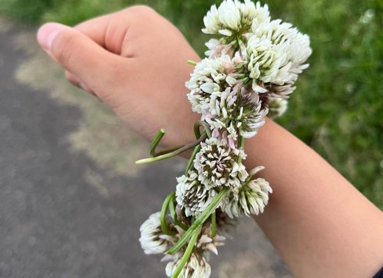 隣の公園でれみちゃんと花冠+を作ったようです+++かわいい〜+れみちゃん含め、大学生のアルバイトさん達はみんなの人気者+たくさん遊んでくれて、たまに取り合いになっています(1)